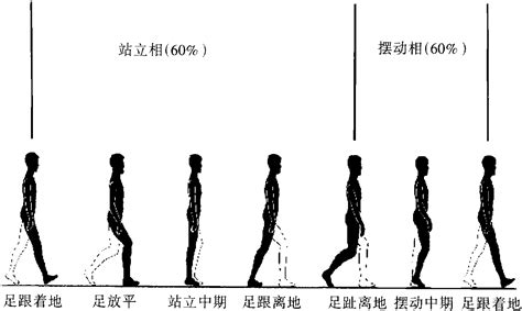 屈曲意思